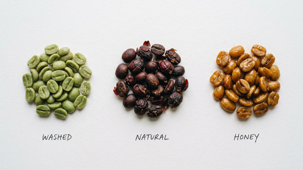 Three piles of coffee at different processing stages showing washed natural and honey processing methods